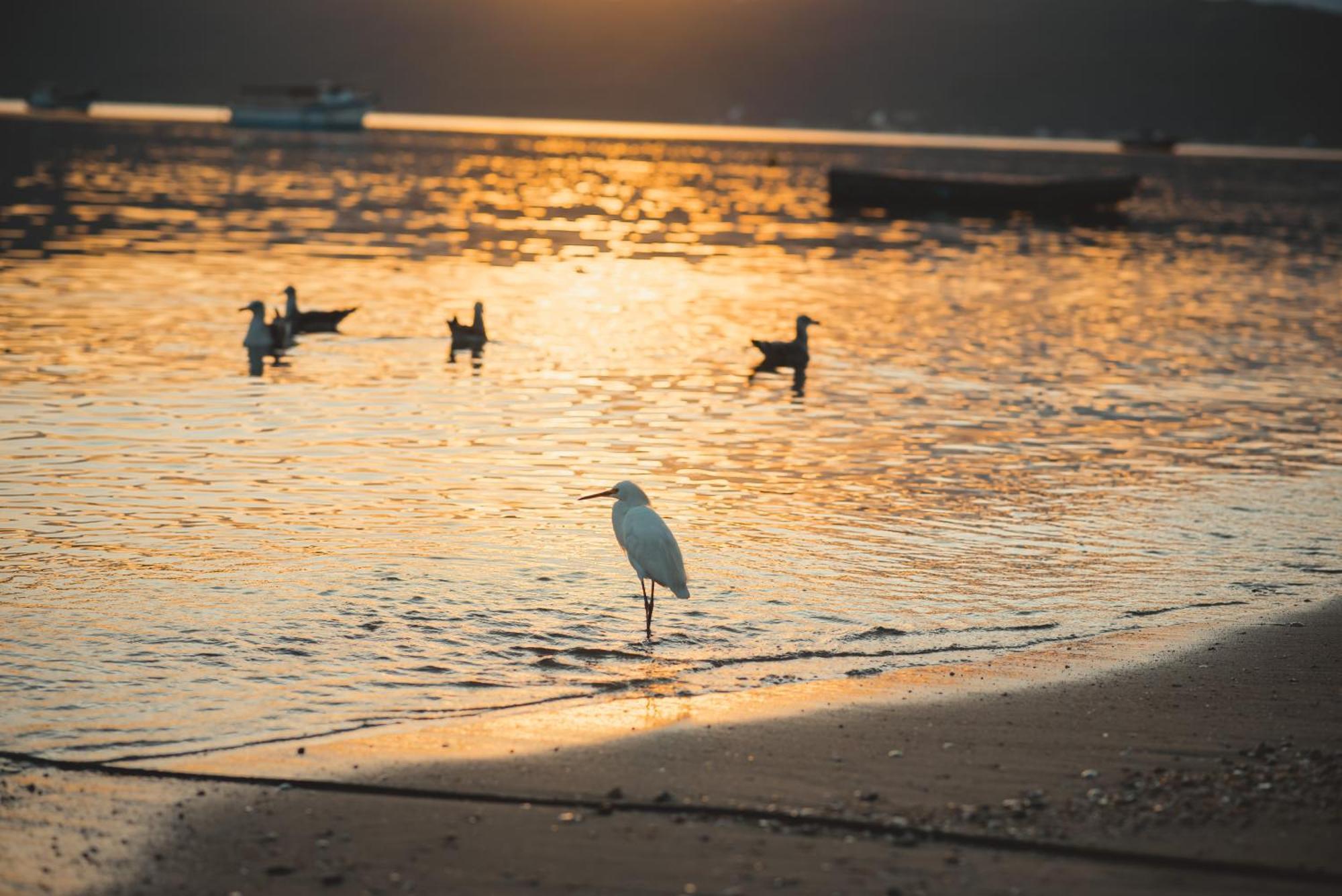 Pousada Canto Do Pescador Bombinhas Exteriér fotografie